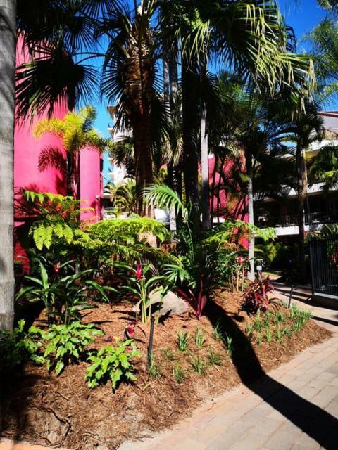 Enderley Gardens Resort Gold Coast Exterior foto